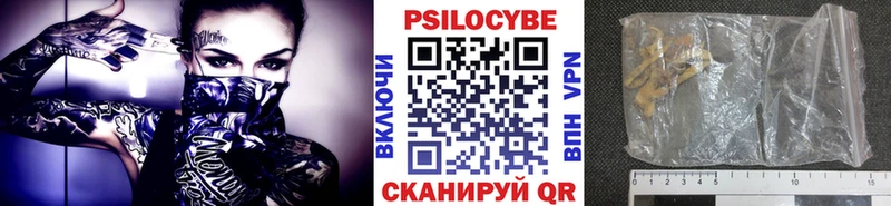 Псилоцибиновые грибы мицелий  Покров 